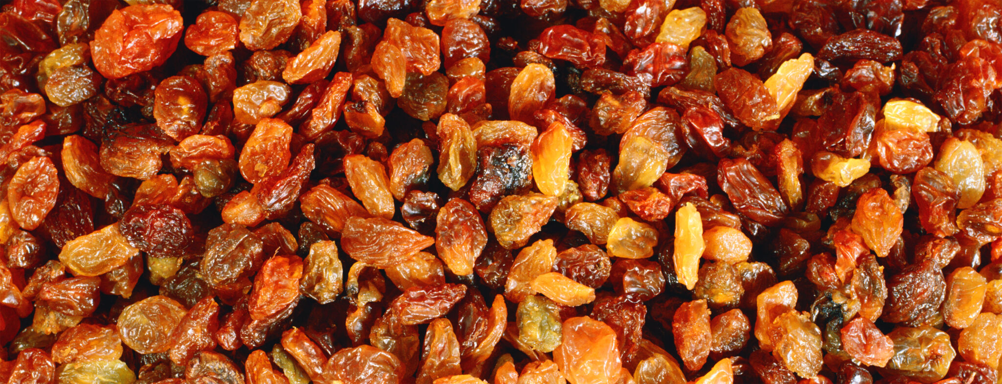 Raisins MEPE MIDDLE EAST